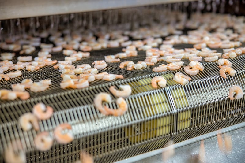 prawns-production-line-sorting