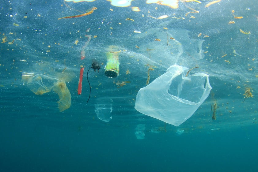 plastic bags in sea