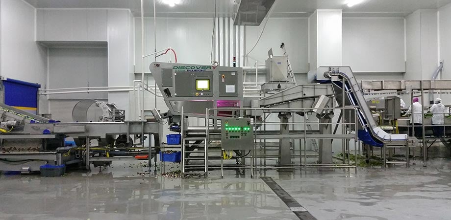 raytec discovery optical sorting machine for quality control in food production lines
